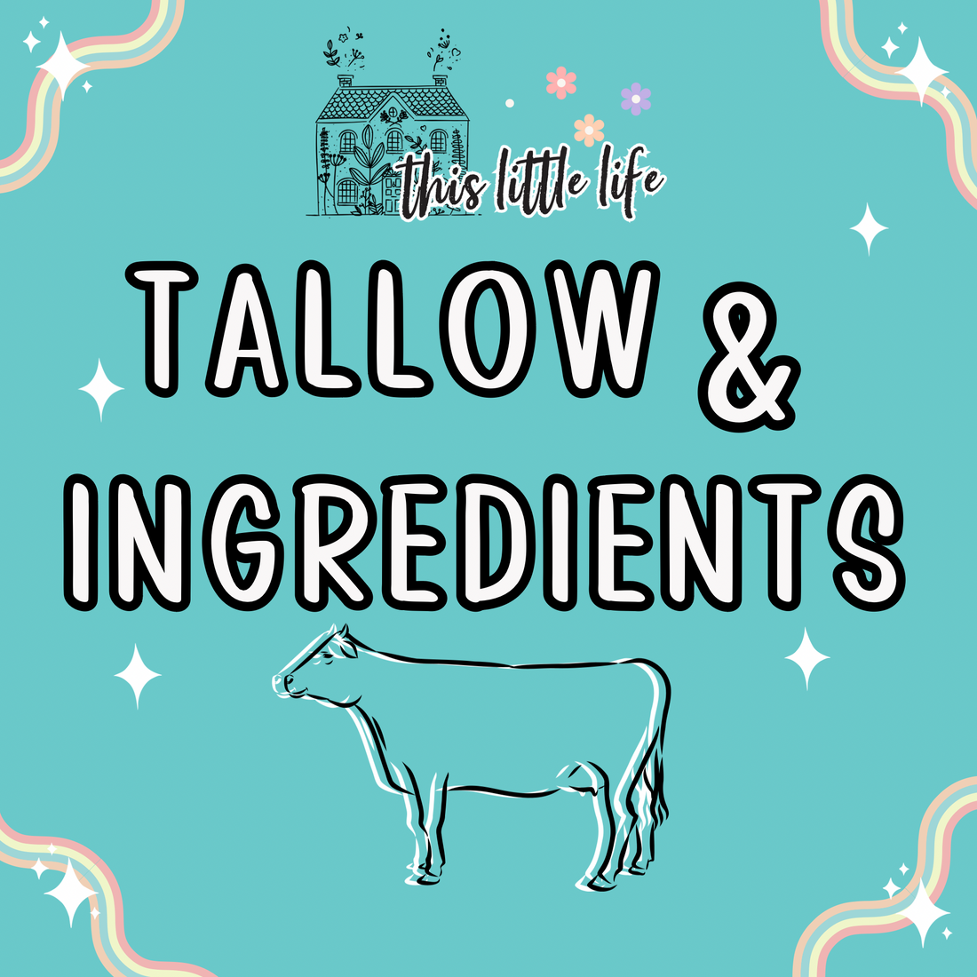 Our Ingredients